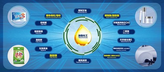 油脂循环科技助力绿色制造和可持续发展